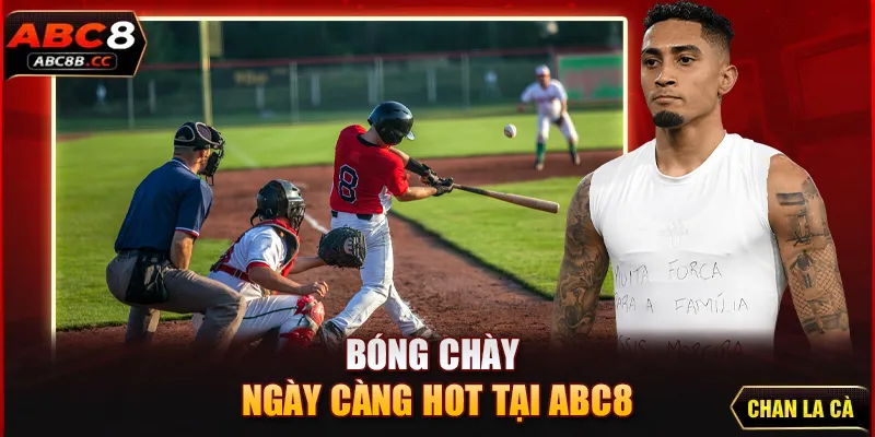 Bóng chày ngày càng hot tại ABC8