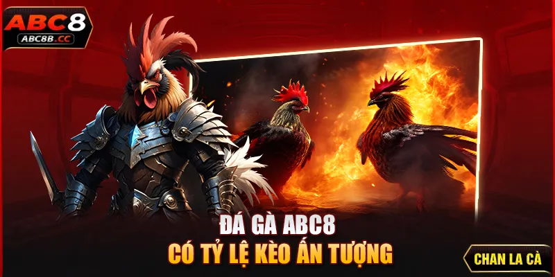 Đá gà ABC8 có tỷ lệ kèo ấn tượng