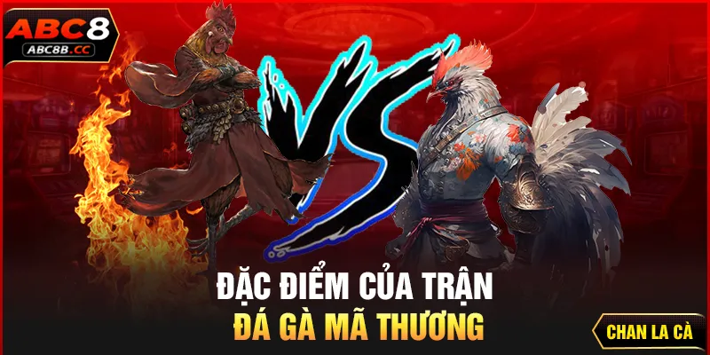 Đặc điểm của trận đá gà mã thương