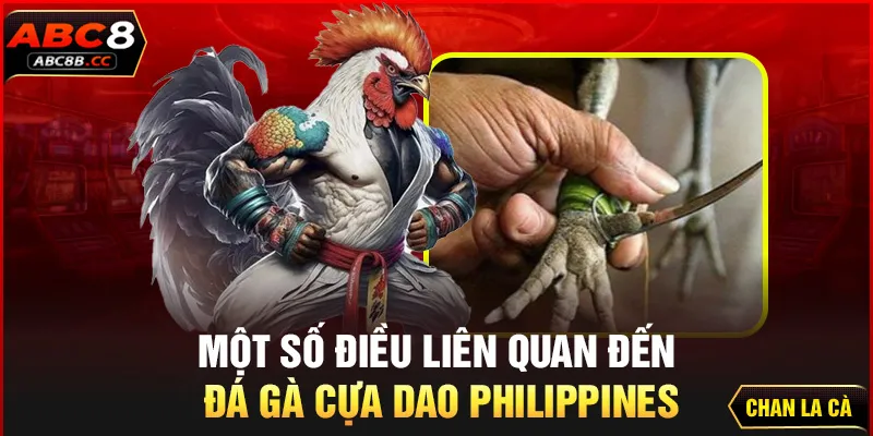 Một số điều liên quan đến đá gà cựa dao Philippines