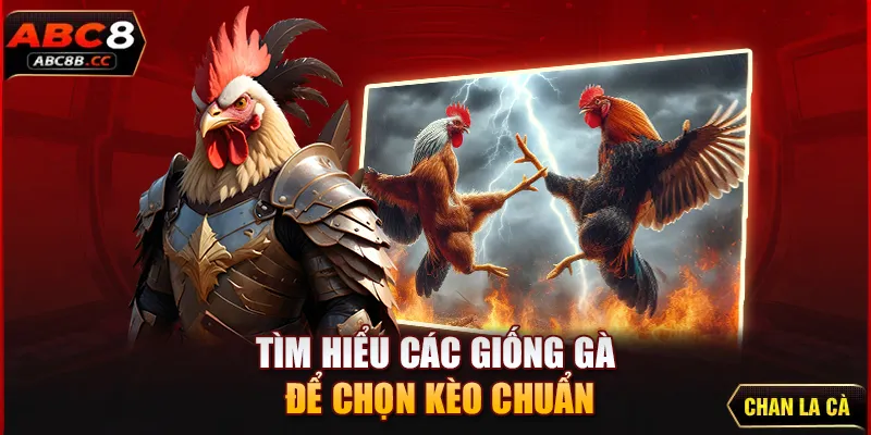 Tìm hiểu các giống gà để chọn kèo chuẩn